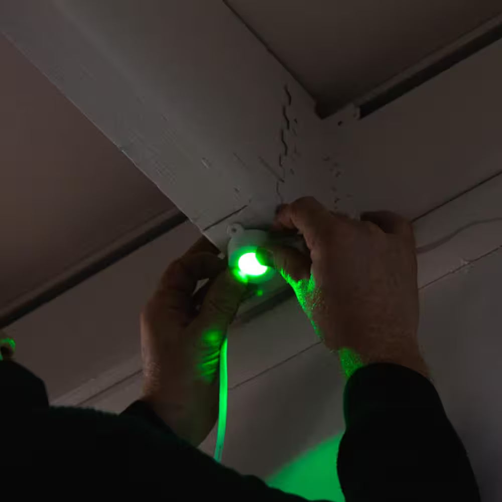 30-Light 50 Ft. Outdoor Plug-In RGB+W Integrated LED Smart Wi-Fi Novelty White String-Light Extension Set (2-Pack)