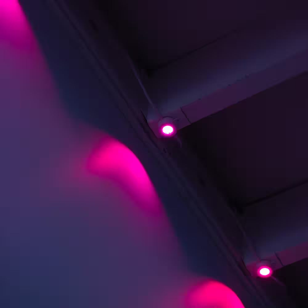 30-Light 50 Ft. Outdoor Plug-In RGB+W Integrated LED Smart Wi-Fi Novelty White String-Light Extension Set (2-Pack)