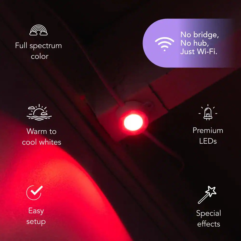 30-Light 50 Ft. Outdoor Plug-In RGB+W Integrated LED Smart Wi-Fi Novelty White String-Light Extension Set (2-Pack)